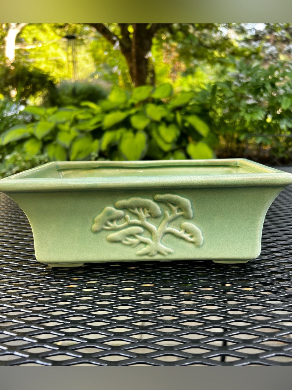 BEAUTIFUL BONSAI PLANTER